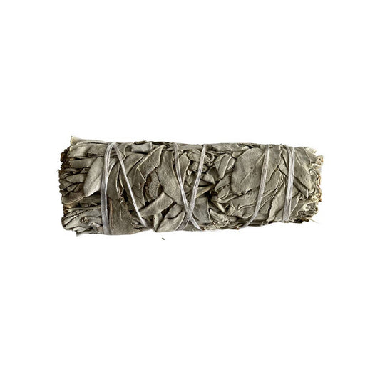 White Sage Smudge Stick 4”